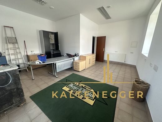 Ofis Neunkirchen, Politischer Bezirk Neunkirchen