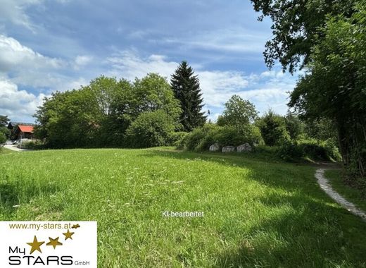 Land in Ried im Innkreis, Politischer Bezirk Ried im Innkreis