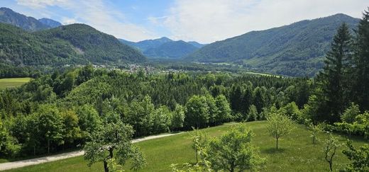 Çiftlik evi Altenmarkt bei Sankt Gallen, Politischer Bezirk Liezen