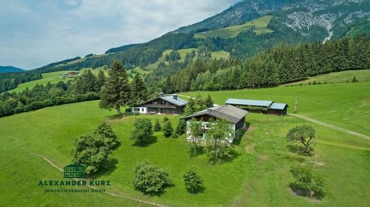 Bauernhof zu verkaufen in Leogang