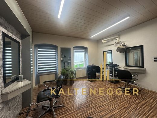 사무실 / Katzelsdorf, Politischer Bezirk Wiener Neustadt