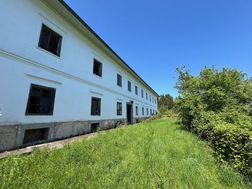 Farm in Weisskirchen an der Traun, Wels-Land
