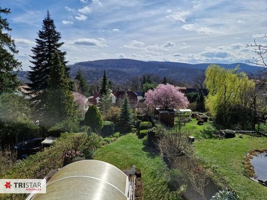 Luxe woning in Wenen, Wien Stadt