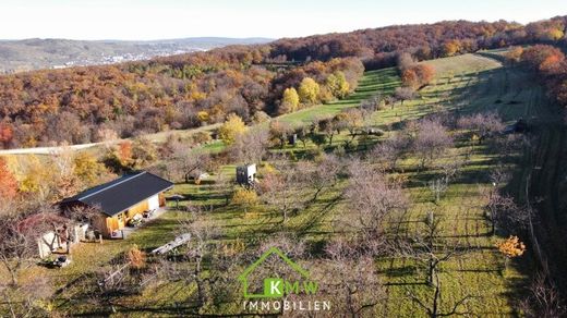 Farm in Unterbergern, Politischer Bezirk Krems