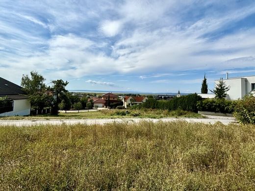 Neusiedl am See, Politischer Bezirk Neusiedl am Seeの土地