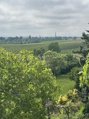 Land in Sooss, Politischer Bezirk Baden