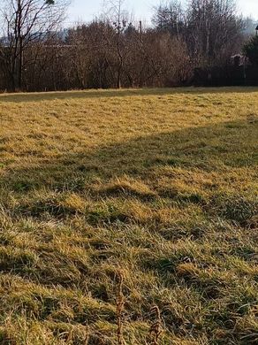 Terrain à Leppersdorf, Politischer Bezirk Eferding