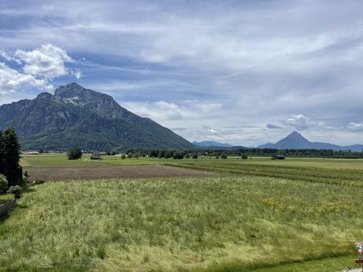 Anif, Politischer Bezirk Salzburg-Umgebungの高級住宅