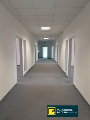 Office in Vienna, Wien Stadt