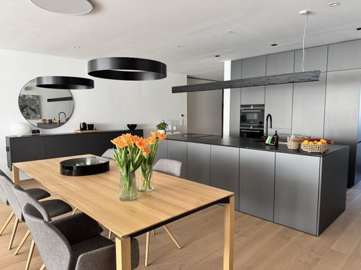 Apartment in Wels, Wels Stadt