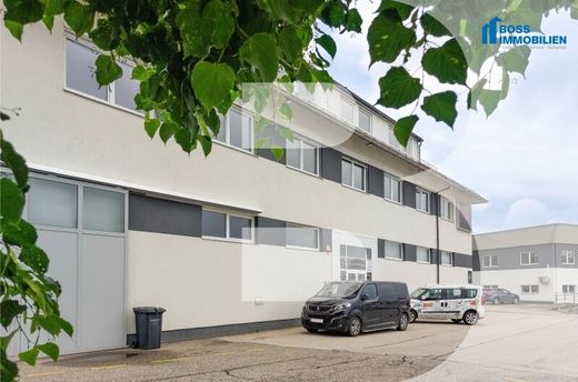 Büro in Pasching, Politischer Bezirk Linz-Land