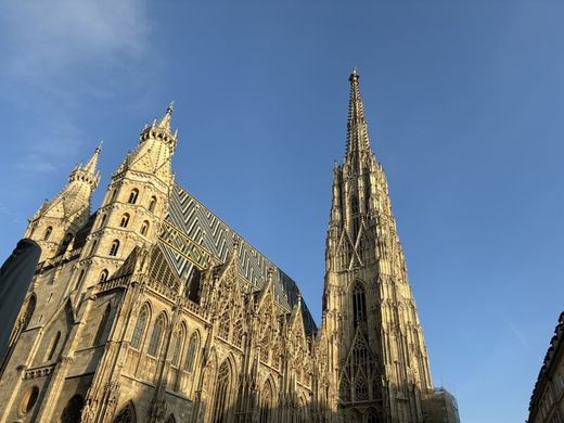 Escritório - Viena, Wien Stadt