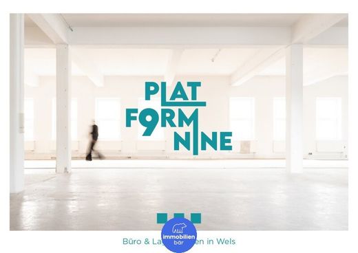 Biuro w Wels, Wels Stadt