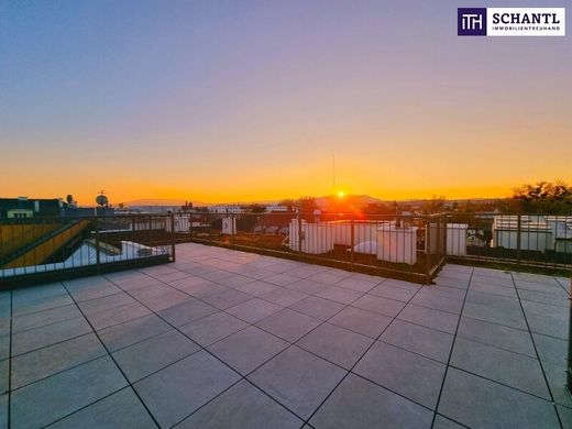 ‏דירת פנטהאוז ב  אוקלנד, Wien Stadt