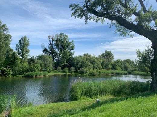 ‏קרקע ב  אוקלנד, Wien Stadt