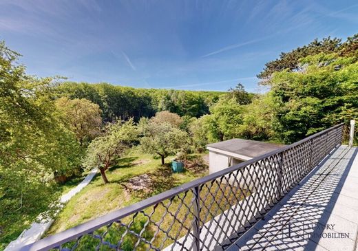 Teren w Weidlingbach, Politischer Bezirk Tulln