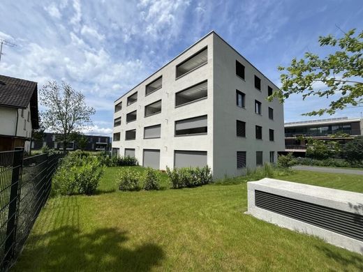 Daire Götzis, Politischer Bezirk Feldkirch