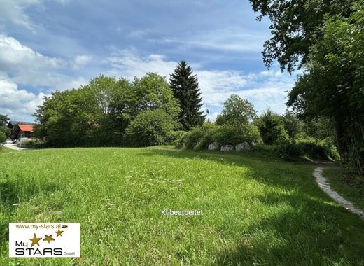 Ried im Innkreis, Politischer Bezirk Ried im Innkreisの土地