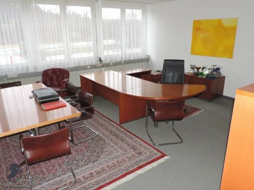Office in Neutal, Politischer Bezirk Oberpullendorf