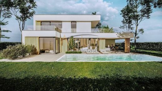 Maison de luxe à Strasshof an der Nordbahn, Politischer Bezirk Gänserndorf