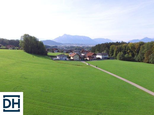 Land in Hallwang, Politischer Bezirk Salzburg-Umgebung