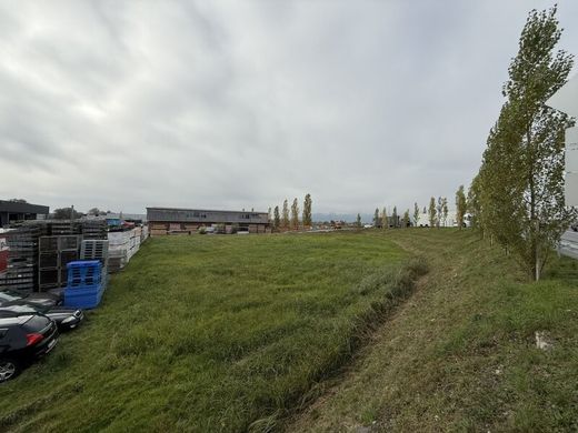 Arsa Hard, Politischer Bezirk Bregenz