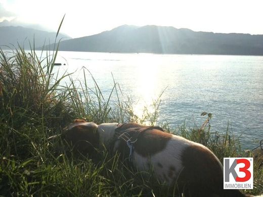 Участок, Steinbach am Attersee, Politischer Bezirk Vöcklabruck