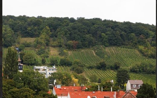 Villa in Vienna, Wien Stadt
