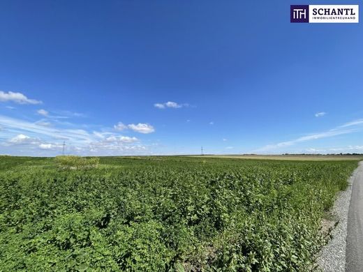 Land in Moosbrunn, Politischer Bezirk Bruck an der Leitha