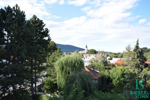 Luxury home in Traiskirchen, Politischer Bezirk Baden