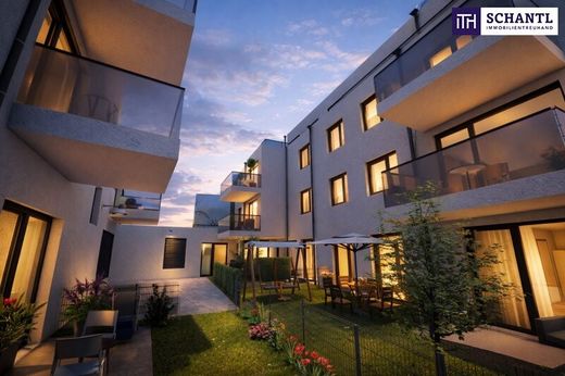 Apartment in Groß-Enzersdorf, Politischer Bezirk Gänserndorf