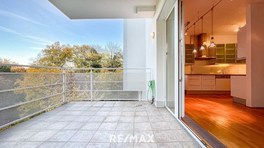 Daire Viyana, Wien Stadt