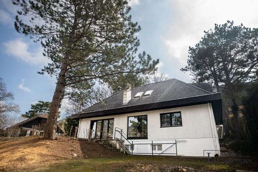 地皮  Hinterbrühl, Politischer Bezirk Mödling