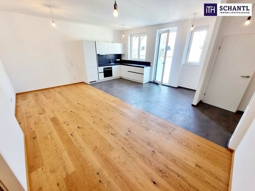Apartment in Vienna, Wien Stadt