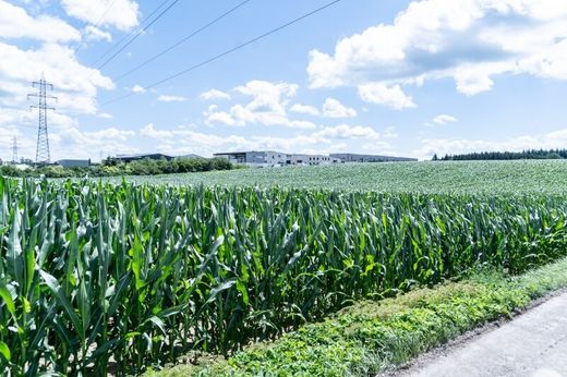 Hofern, Politischer Bezirk Kirchdorf an der Kremsの土地