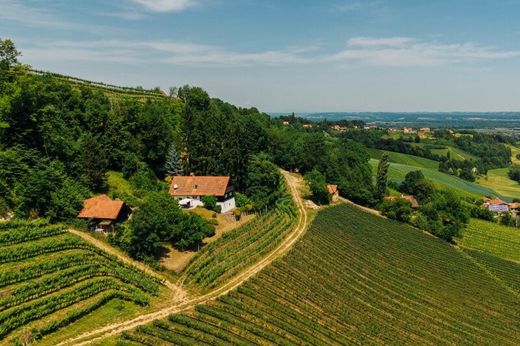 Luxury home in Grassnitzberg, Leibnitz