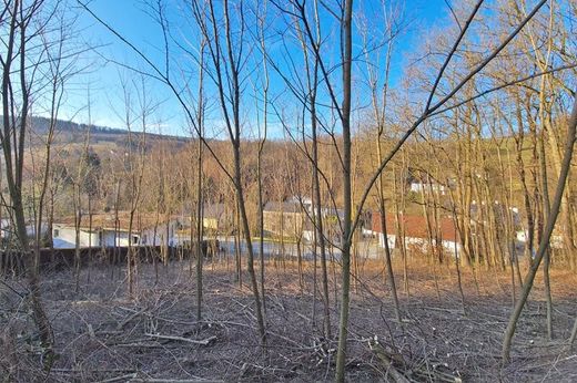 Terrain à Irenental, Politischer Bezirk Sankt Pölten