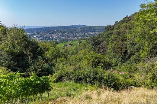 Luxury home in Vienna, Wien Stadt