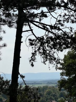 Terreno - Bad Fischau, Politischer Bezirk Wiener Neustadt