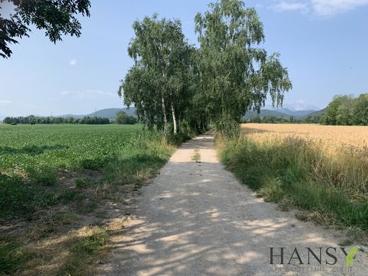 Teren w Willendorf am Steinfelde, Politischer Bezirk Neunkirchen