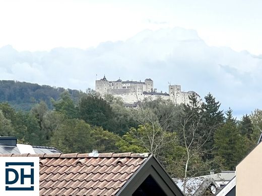 豪宅  萨尔斯堡, Salzburg