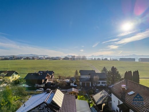 Land in Seekirchen am Wallersee, Politischer Bezirk Salzburg-Umgebung