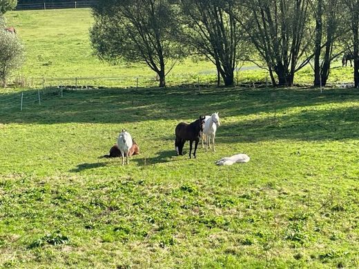 Fazenda - Gföhl, Politischer Bezirk Krems