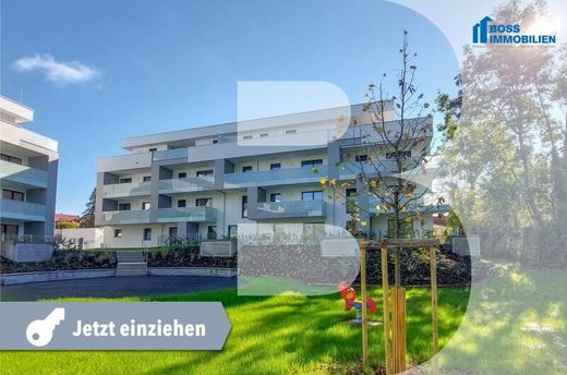 Apartment in Eferding, Politischer Bezirk Eferding