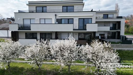 Apartment / Etagenwohnung zu verkaufen in Donnerskirchen