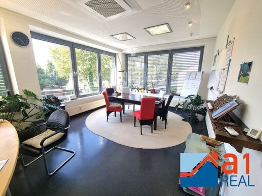 Biuro w Linz, Linz Stadt