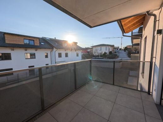 Daire Hallwang, Politischer Bezirk Salzburg-Umgebung