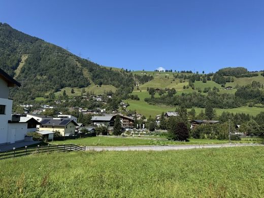 Arsa Kaprun, Politischer Bezirk Zell am See