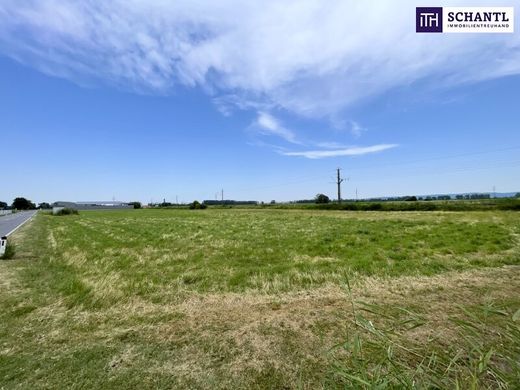 ‏קרקע ב  Mitterndorf an der Fischa, Politischer Bezirk Baden