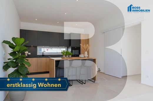 Luxury home in Traun, Politischer Bezirk Linz-Land